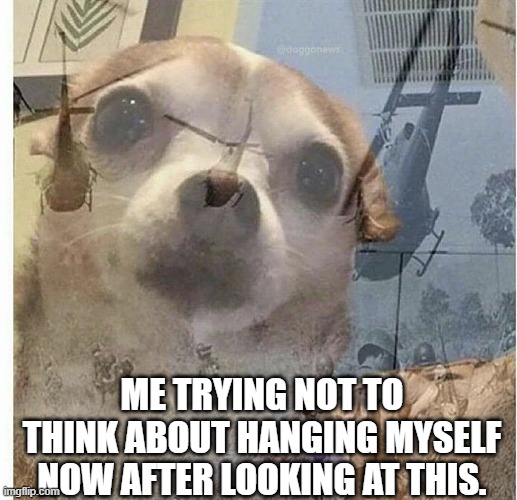 war flashback dog | ME TRYING NOT TO THINK ABOUT HANGING MYSELF NOW AFTER LOOKING AT THIS. | image tagged in war flashback dog | made w/ Imgflip meme maker
