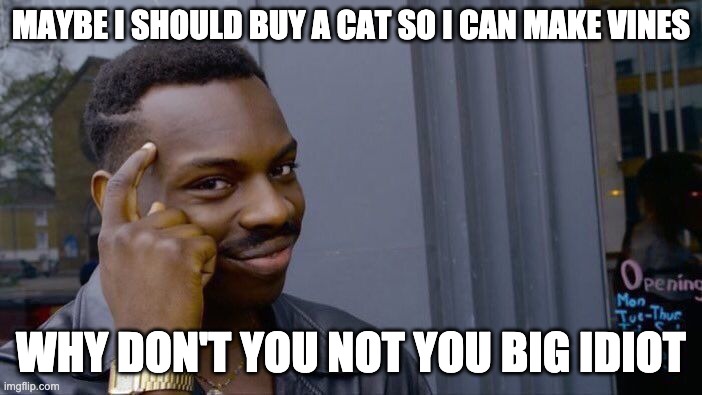 Roll Safe Think About It | MAYBE I SHOULD BUY A CAT SO I CAN MAKE VINES; WHY DON'T YOU NOT YOU BIG IDIOT | image tagged in memes,roll safe think about it | made w/ Imgflip meme maker