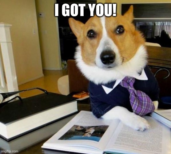 Lawyer Corgi Dog | I GOT YOU! | image tagged in lawyer corgi dog | made w/ Imgflip meme maker