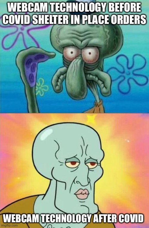 Squidward After/Before | WEBCAM TECHNOLOGY BEFORE COVID SHELTER IN PLACE ORDERS; WEBCAM TECHNOLOGY AFTER COVID | image tagged in squidward after/before,memes,funny,covid-19,corona virus,shelter in place | made w/ Imgflip meme maker