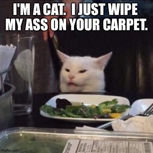 I'M A CAT.  I JUST WIPE 
MY ASS ON YOUR CARPET. | made w/ Imgflip meme maker