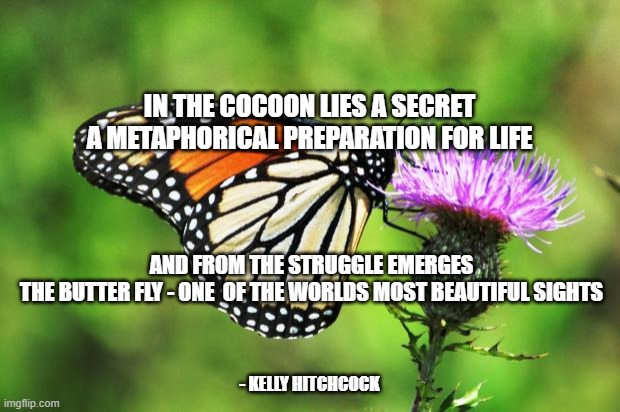 Butterfly tatoo |  IN THE COCOON LIES A SECRET
A METAPHORICAL PREPARATION FOR LIFE; AND FROM THE STRUGGLE EMERGES
THE BUTTER FLY - ONE  OF THE WORLDS MOST BEAUTIFUL SIGHTS; - KELLY HITCHCOCK | image tagged in butterfly tatoo | made w/ Imgflip meme maker
