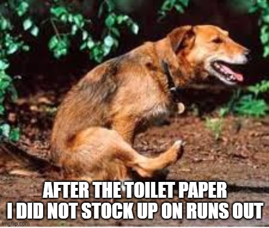 mimi | AFTER THE TOILET PAPER I DID NOT STOCK UP ON RUNS OUT | image tagged in mimi | made w/ Imgflip meme maker