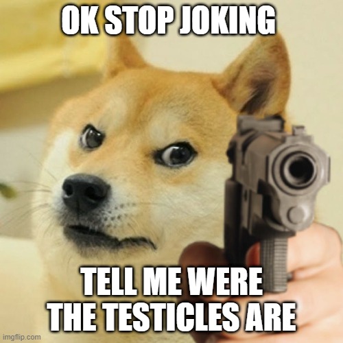 Doge holding a gun | OK STOP JOKING; TELL ME WERE THE TESTICLES ARE | image tagged in doge holding a gun | made w/ Imgflip meme maker