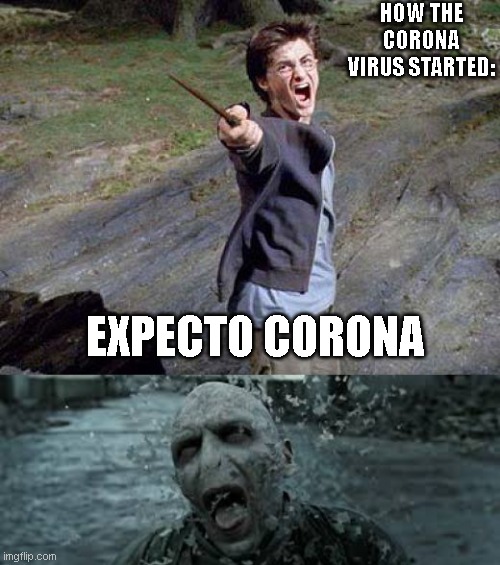 HOW THE CORONA VIRUS STARTED:; EXPECTO CORONA | image tagged in harry potter yelling | made w/ Imgflip meme maker