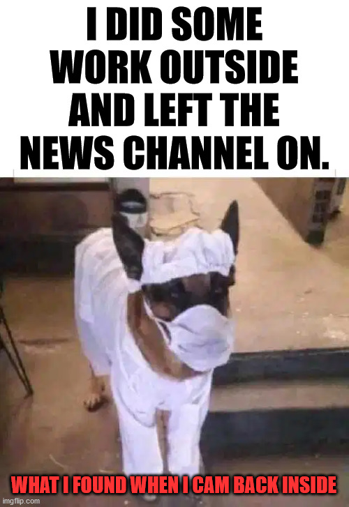 Stop watching the news endlessly, find fun things to do. | I DID SOME WORK OUTSIDE AND LEFT THE NEWS CHANNEL ON. WHAT I FOUND WHEN I CAM BACK INSIDE | image tagged in television,dog,corona virus | made w/ Imgflip meme maker