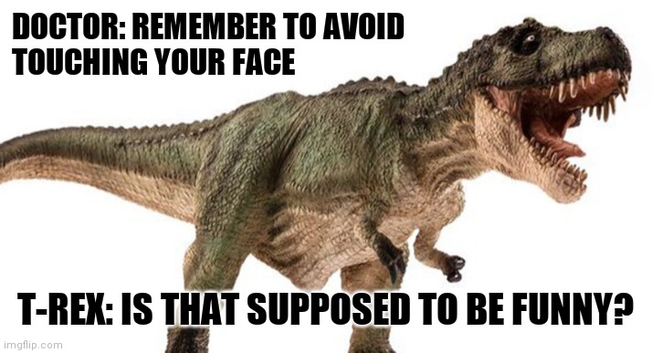 DOCTOR: REMEMBER TO AVOID 
TOUCHING YOUR FACE; T-REX: IS THAT SUPPOSED TO BE FUNNY? | image tagged in health | made w/ Imgflip meme maker