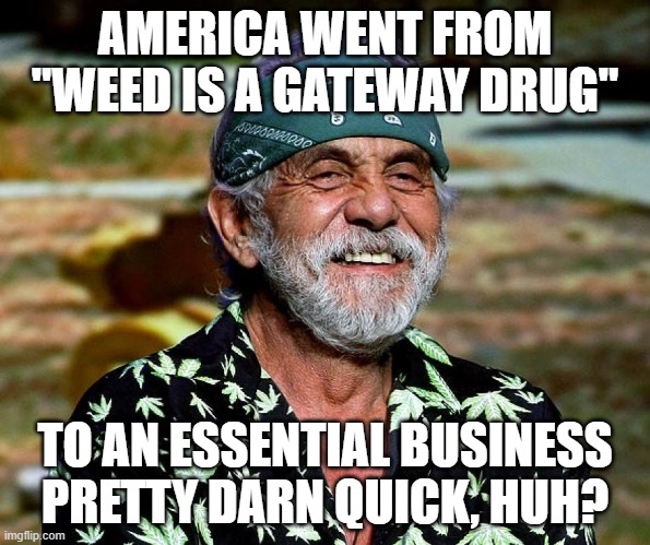 WEED, it IS essential | AMERICA WENT FROM "WEED IS A GATEWAY DRUG"; TO AN ESSENTIAL BUSINESS PRETTY DARN QUICK, HUH? | image tagged in tommy chong,weed,covid19,essential business,quarantine | made w/ Imgflip meme maker