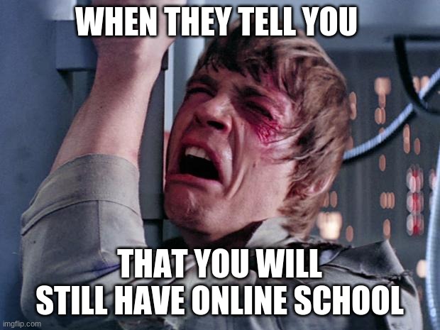 luke nooooo | WHEN THEY TELL YOU; THAT YOU WILL STILL HAVE ONLINE SCHOOL | image tagged in luke nooooo | made w/ Imgflip meme maker