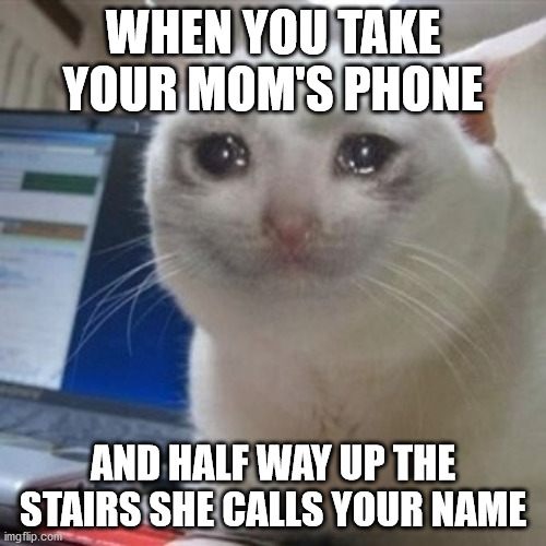 Crying cat | WHEN YOU TAKE YOUR MOM'S PHONE; AND HALF WAY UP THE STAIRS SHE CALLS YOUR NAME | image tagged in crying cat | made w/ Imgflip meme maker