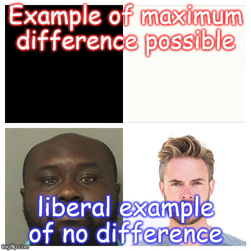 Black and white | Example of maximum difference possible; liberal example of no difference | image tagged in liberals,stupid,truth,fact | made w/ Imgflip meme maker