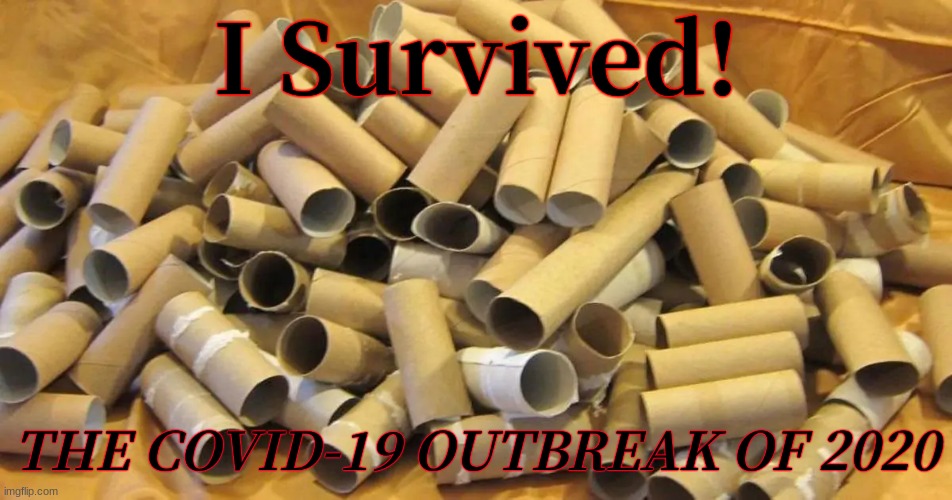 sumpin to show the grandkids one day... | I Survived! THE COVID-19 OUTBREAK OF 2020 | image tagged in coronavirus,survival | made w/ Imgflip meme maker