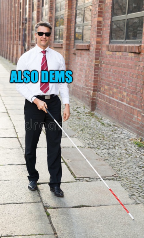 ALSO DEMS | made w/ Imgflip meme maker