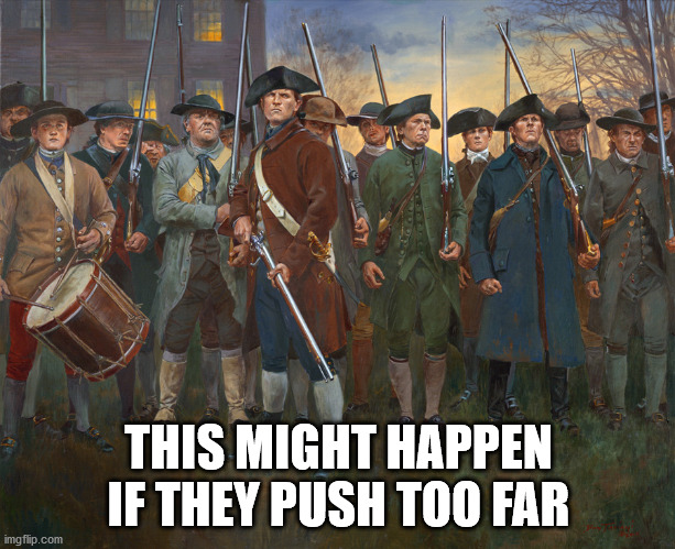 revolutionary militia | THIS MIGHT HAPPEN IF THEY PUSH TOO FAR | image tagged in revolutionary militia | made w/ Imgflip meme maker