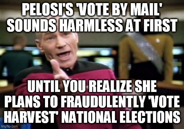Picard Wtf Meme | PELOSI'S 'VOTE BY MAIL' SOUNDS HARMLESS AT FIRST; UNTIL YOU REALIZE SHE PLANS TO FRAUDULENTLY 'VOTE HARVEST' NATIONAL ELECTIONS | image tagged in memes,picard wtf | made w/ Imgflip meme maker