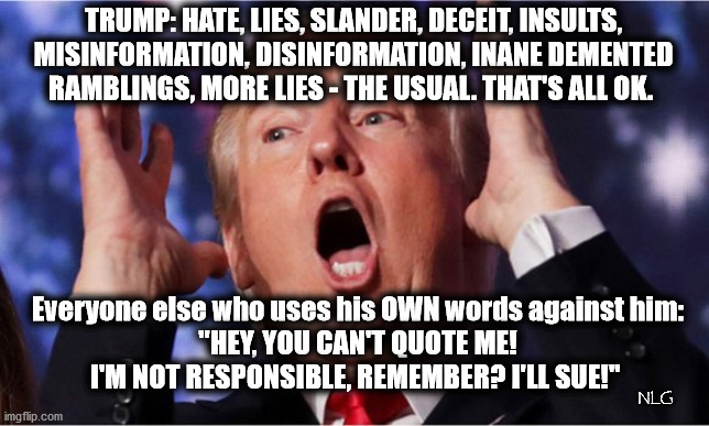 You can't quote me! | TRUMP: HATE, LIES, SLANDER, DECEIT, INSULTS, MISINFORMATION, DISINFORMATION, INANE DEMENTED RAMBLINGS, MORE LIES - THE USUAL. THAT'S ALL OK. Everyone else who uses his OWN words against him:
 "HEY, YOU CAN'T QUOTE ME! 
I'M NOT RESPONSIBLE, REMEMBER? I'LL SUE!"; NLG | image tagged in politics,political meme,political humor | made w/ Imgflip meme maker