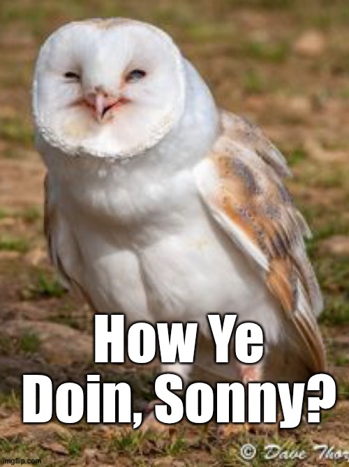 How Ye Doin, Sonny? | made w/ Imgflip meme maker