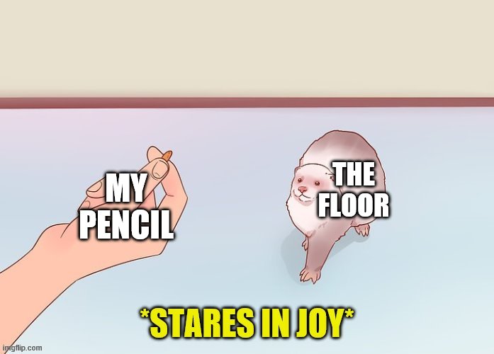 the stare of joy | MY PENCIL; THE FLOOR | image tagged in the stare of joy | made w/ Imgflip meme maker