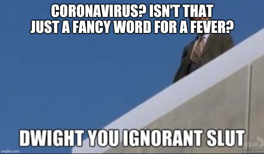 Dwight you Ignorant Slut | CORONAVIRUS? ISN'T THAT JUST A FANCY WORD FOR A FEVER? | image tagged in dwight you ignorant slut | made w/ Imgflip meme maker