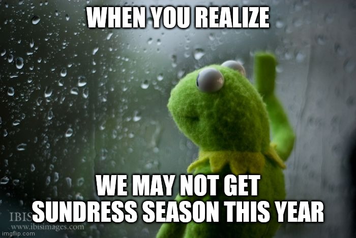 kermit window | WHEN YOU REALIZE; WE MAY NOT GET SUNDRESS SEASON THIS YEAR | image tagged in kermit window | made w/ Imgflip meme maker