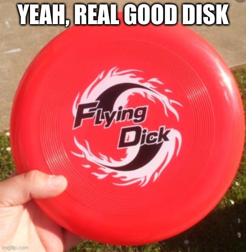 wow | YEAH, REAL GOOD DISK | image tagged in you had one job | made w/ Imgflip meme maker