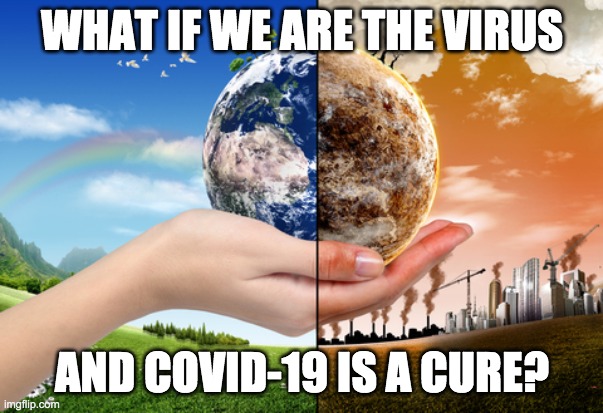 WHAT IF WE ARE THE VIRUS; AND COVID-19 IS A CURE? | image tagged in covid-19,coronavirus,cure,people,earth | made w/ Imgflip meme maker