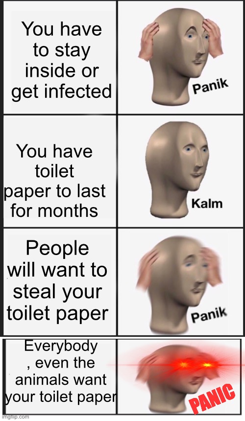 Panik Kalm Panik PANIK | You have to stay inside or get infected; You have toilet paper to last for months; People will want to steal your toilet paper; Everybody , even the animals want your toilet paper; PANIC | image tagged in memes,panik kalm panik | made w/ Imgflip meme maker