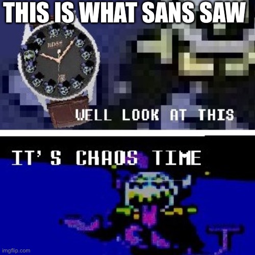 Chaos time | THIS IS WHAT SANS SAW | image tagged in chaos time | made w/ Imgflip meme maker