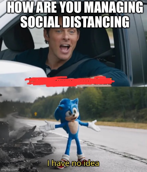 Sonic I have no idea |  HOW ARE YOU MANAGING SOCIAL DISTANCING | image tagged in sonic i have no idea | made w/ Imgflip meme maker
