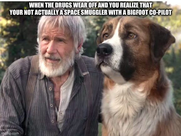 Call of the Wild | WHEN THE DRUGS WEAR OFF AND YOU REALIZE THAT YOUR NOT ACTUALLY A SPACE SMUGGLER WITH A BIGFOOT CO-PILOT | image tagged in harrison ford | made w/ Imgflip meme maker