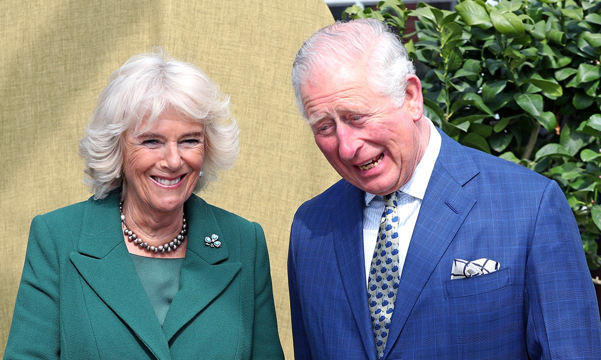 Prince Charles and Camilla Blank Meme Template