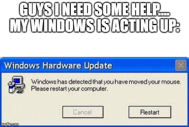GUYS I NEED SOME HELP.... MY WINDOWS IS ACTING UP: | image tagged in blank white template | made w/ Imgflip meme maker