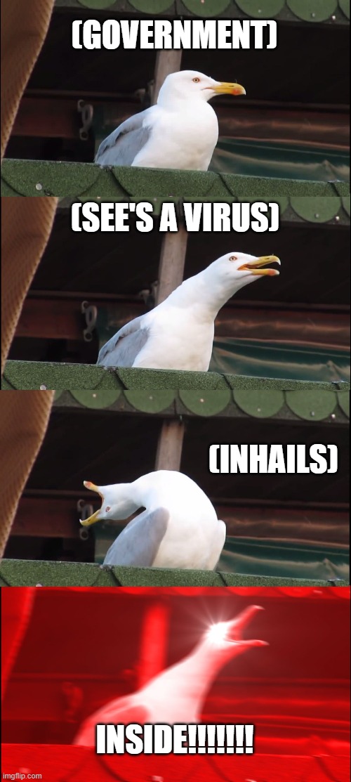 Inhaling Seagull Meme | (GOVERNMENT); (SEE'S A VIRUS); (INHAILS); INSIDE!!!!!!! | image tagged in memes,inhaling seagull | made w/ Imgflip meme maker