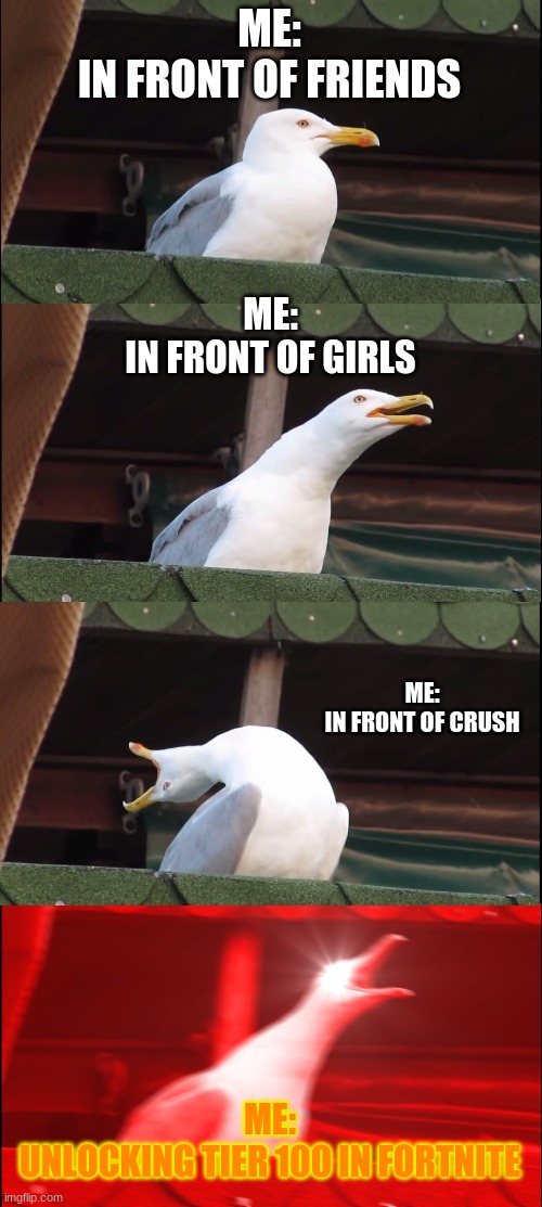 Inhaling Seagull Meme |  ME:
IN FRONT OF FRIENDS; ME:
IN FRONT OF GIRLS; ME:
IN FRONT OF CRUSH; ME:
UNLOCKING TIER 100 IN FORTNITE | image tagged in memes,inhaling seagull | made w/ Imgflip meme maker