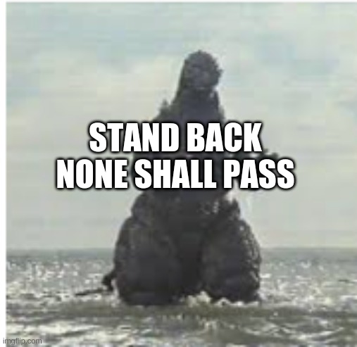 STAND BACK NONE SHALL PASS | image tagged in funny | made w/ Imgflip meme maker