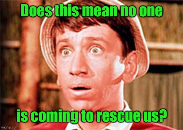 Gilligan | Does this mean no one is coming to rescue us? | image tagged in gilligan | made w/ Imgflip meme maker