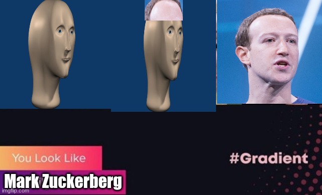 You Look Like Mark Zuckerberg | Mark Zuckerberg | image tagged in meme man,stonks,mark zuckerberg | made w/ Imgflip meme maker
