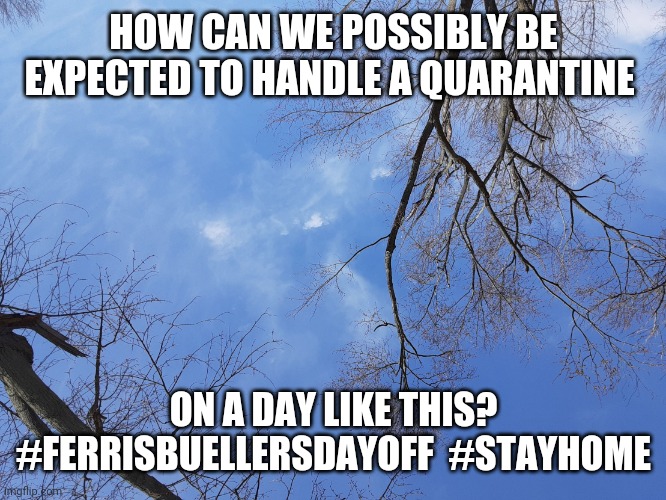 Blue sky | HOW CAN WE POSSIBLY BE EXPECTED TO HANDLE A QUARANTINE; ON A DAY LIKE THIS? #FERRISBUELLERSDAYOFF  #STAYHOME | image tagged in blue sky | made w/ Imgflip meme maker