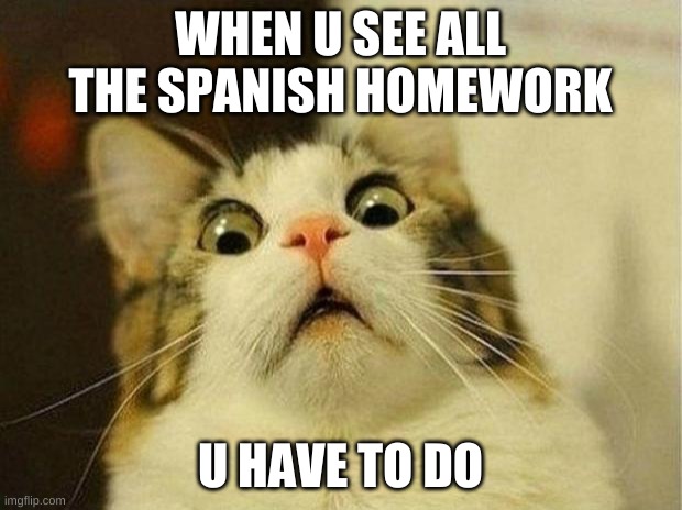 Scared Cat | WHEN U SEE ALL THE SPANISH HOMEWORK; U HAVE TO DO | image tagged in memes,scared cat | made w/ Imgflip meme maker