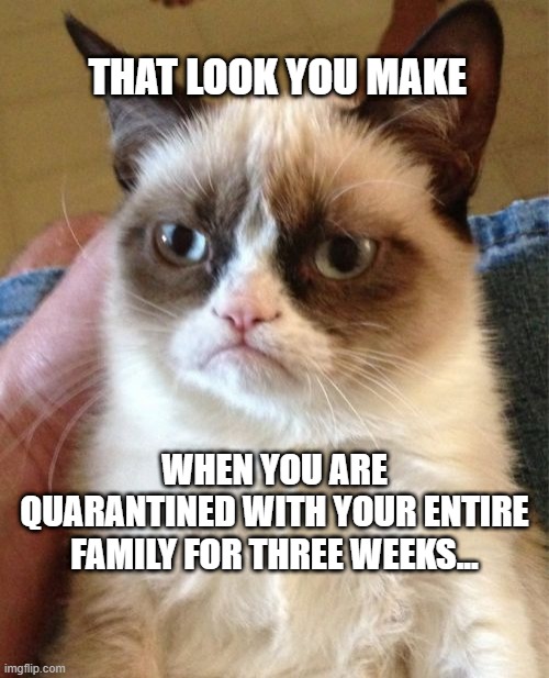 Quarantine Cat! | THAT LOOK YOU MAKE; WHEN YOU ARE QUARANTINED WITH YOUR ENTIRE FAMILY FOR THREE WEEKS... | image tagged in memes,grumpy cat,quarantine,coronavirus,quarantine cat,family | made w/ Imgflip meme maker