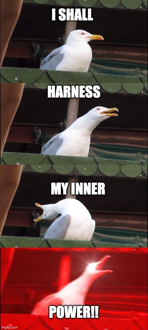 Inhaling Seagull | I SHALL; HARNESS; MY INNER; POWER!! | image tagged in memes,inhaling seagull | made w/ Imgflip meme maker