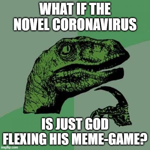 Philosoraptor | WHAT IF THE NOVEL CORONAVIRUS; IS JUST GOD FLEXING HIS MEME-GAME? | image tagged in memes,philosoraptor | made w/ Imgflip meme maker