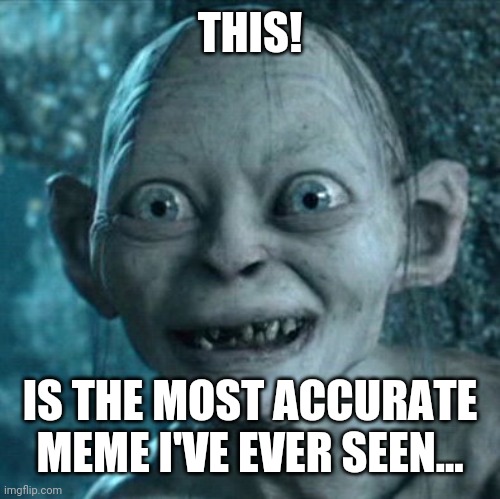 Gollum Meme | THIS! IS THE MOST ACCURATE MEME I'VE EVER SEEN... | image tagged in memes,gollum | made w/ Imgflip meme maker