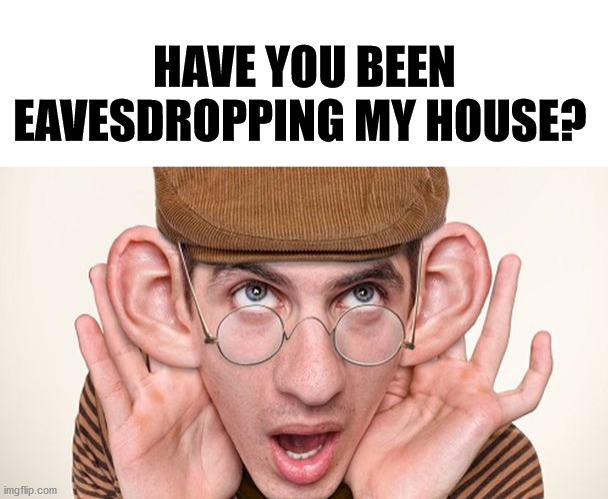 big ears | HAVE YOU BEEN EAVESDROPPING MY HOUSE? | image tagged in big ears | made w/ Imgflip meme maker