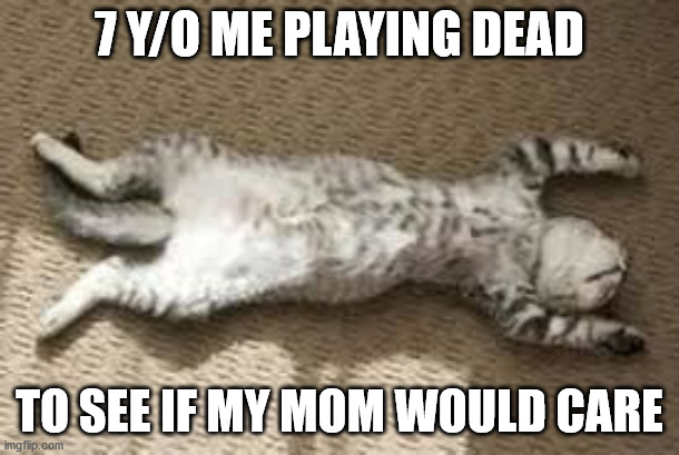 Play Dead Cat | 7 Y/O ME PLAYING DEAD; TO SEE IF MY MOM WOULD CARE | image tagged in play dead cat | made w/ Imgflip meme maker