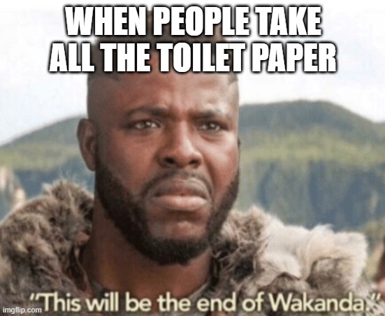 This will be the end of wakanda |  WHEN PEOPLE TAKE ALL THE TOILET PAPER | image tagged in this will be the end of wakanda | made w/ Imgflip meme maker