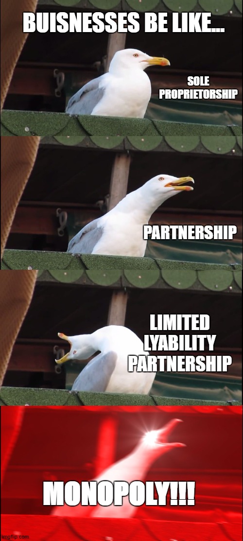Inhaling Seagull | BUISNESSES BE LIKE... SOLE PROPRIETORSHIP; PARTNERSHIP; LIMITED LYABILITY PARTNERSHIP; MONOPOLY!!! | image tagged in memes,inhaling seagull | made w/ Imgflip meme maker