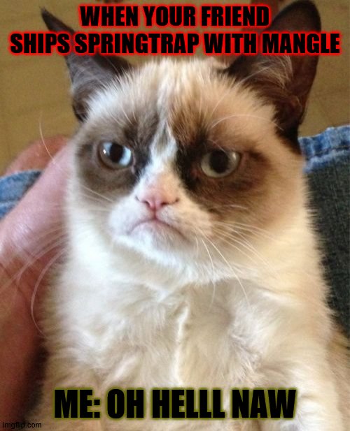 how I react when I see a springtrap X mangle fan | WHEN YOUR FRIEND SHIPS SPRINGTRAP WITH MANGLE; ME: OH HELLL NAW | image tagged in memes,grumpy cat | made w/ Imgflip meme maker