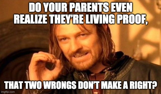 One Does Not Simply | DO YOUR PARENTS EVEN REALIZE THEY’RE LIVING PROOF, THAT TWO WRONGS DON’T MAKE A RIGHT? | image tagged in memes,one does not simply | made w/ Imgflip meme maker