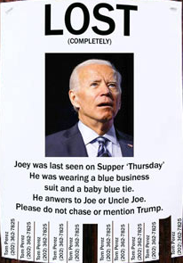 Lost Biden Blank Meme Template